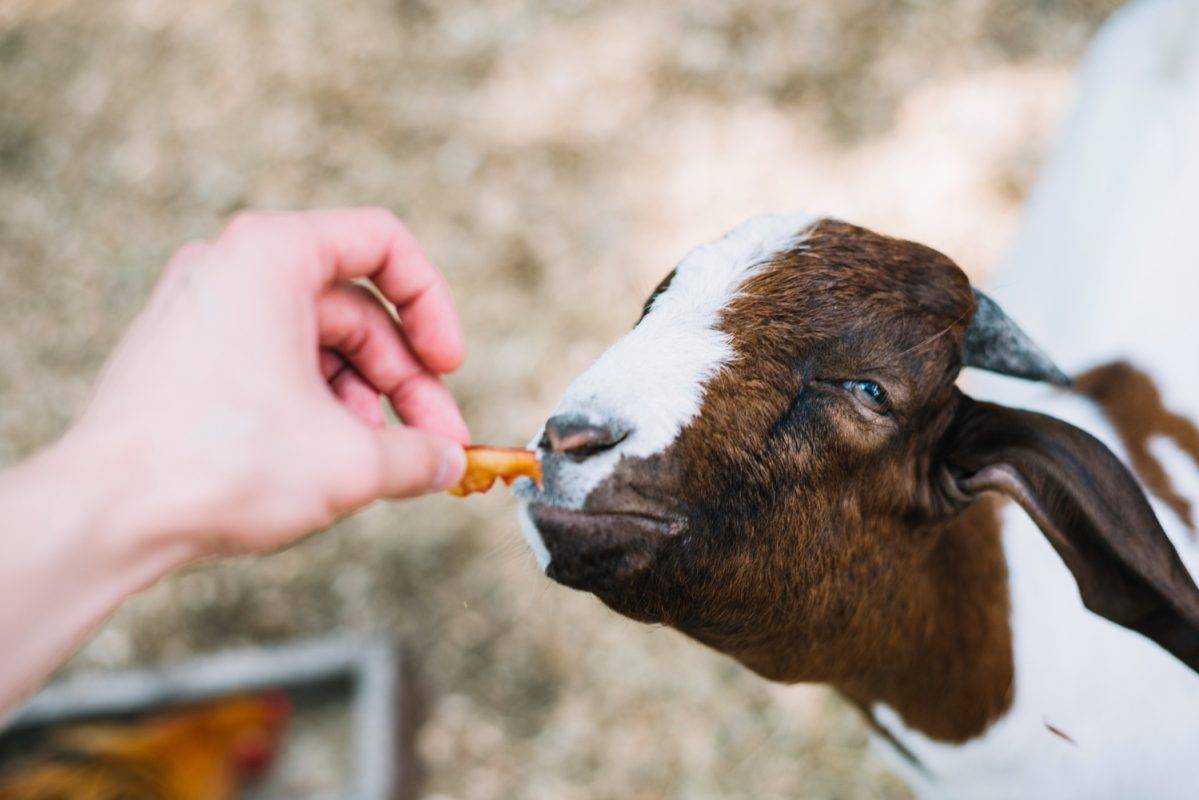 What does one do on a farm?